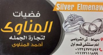 Silver Elmenawy
